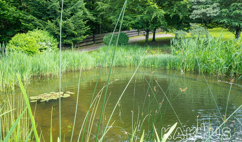 Prodej domu 462 m² s pozemkem 30 521 m², Bordovice – náhled fotky 37
