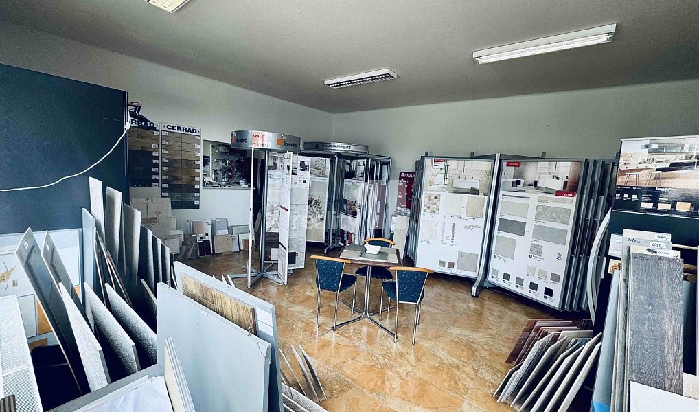Prodej obchodních prostor 168 m², Chlumčany – náhled fotky 7