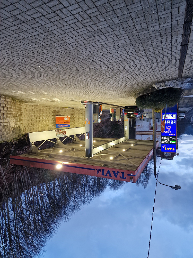 Prodej komerčního objektu (jiného typu) 250 m² – fotografie 3