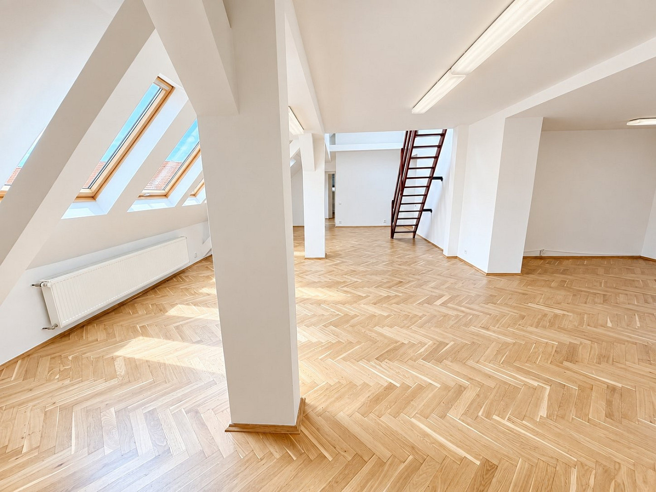 Pronájem kanceláře 150 m² – fotografie 3