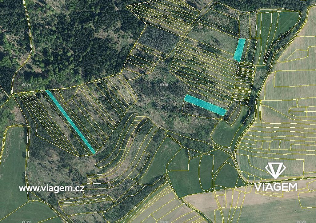 Prodej lesa 1 092 m² – fotografie 3