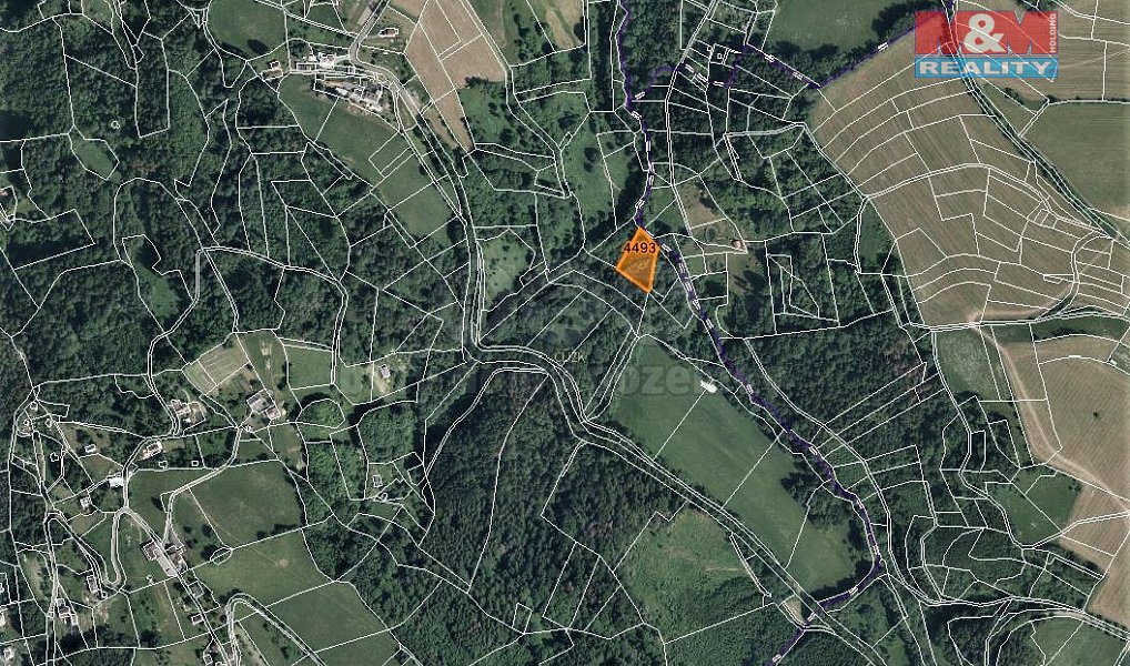 Prodej lesa 2 062 m², Koberovy – náhled fotky 4