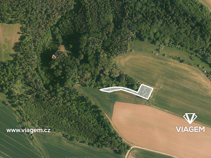Prodej lesa 1 843 m² – fotografie 2