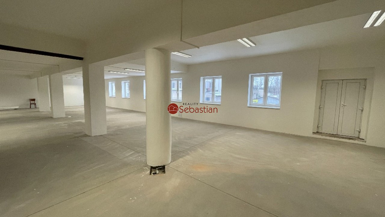 Pronájem obchodních prostor 245 m² — photo 5