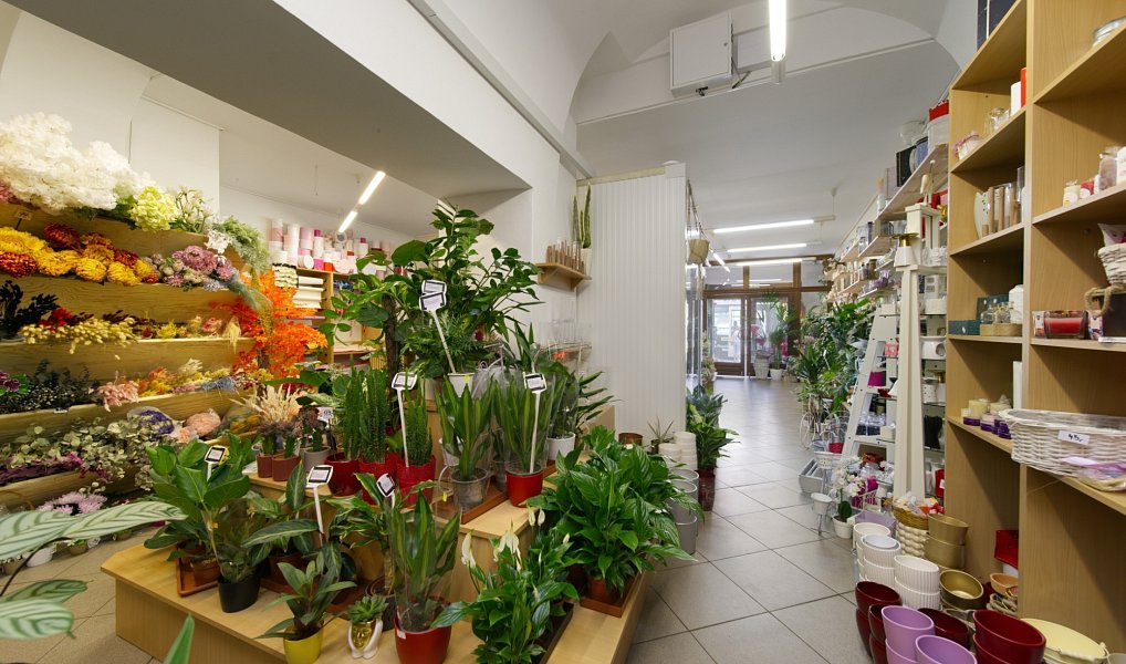 Prodej nájemního domu, činžáku 606 m², Plzeň – náhled fotky 9