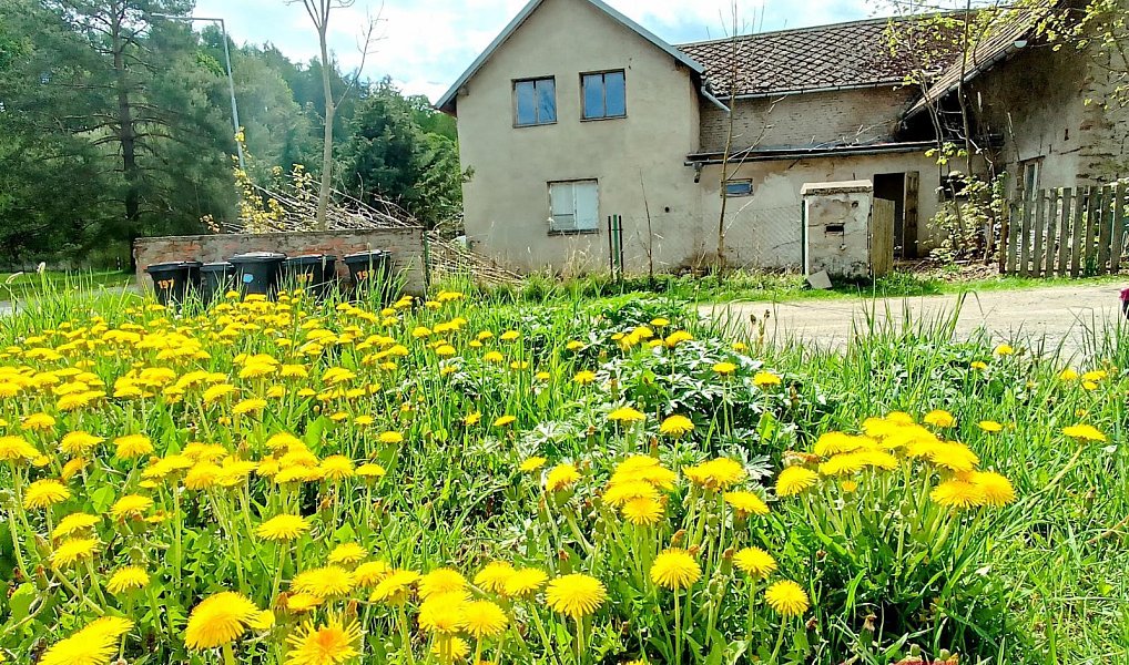 Prodej domu 120 m² s pozemkem 489 m², Koclířov – náhled fotky 21