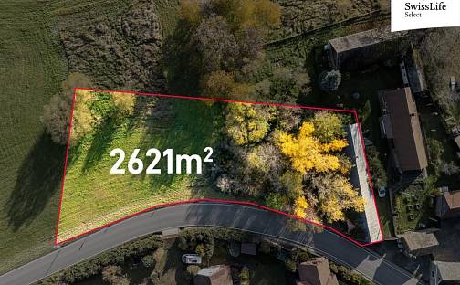 Prodej stavebního pozemku 2 621 m², Votice - Hory, okres Benešov