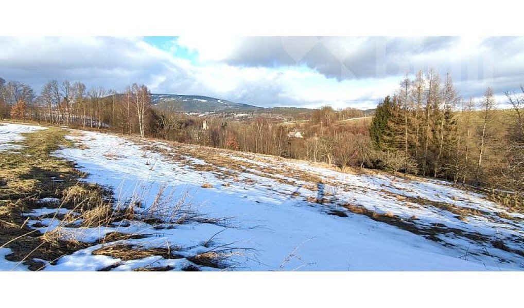 Prodej louky 3 998 m², Rudník – náhled fotky 6