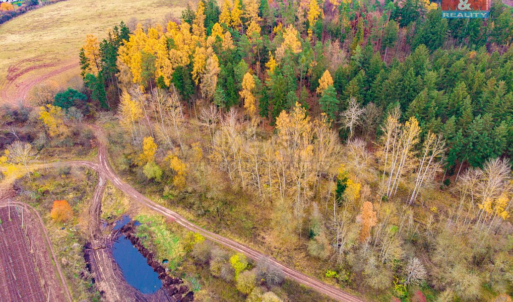 Prodej lesa 2 921 m², Tuchořice – náhled fotky 3