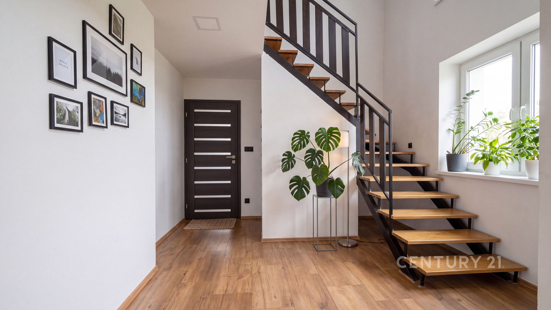 Prodej domu 284 m² s pozemkem 1 154 m² – fotografie 4