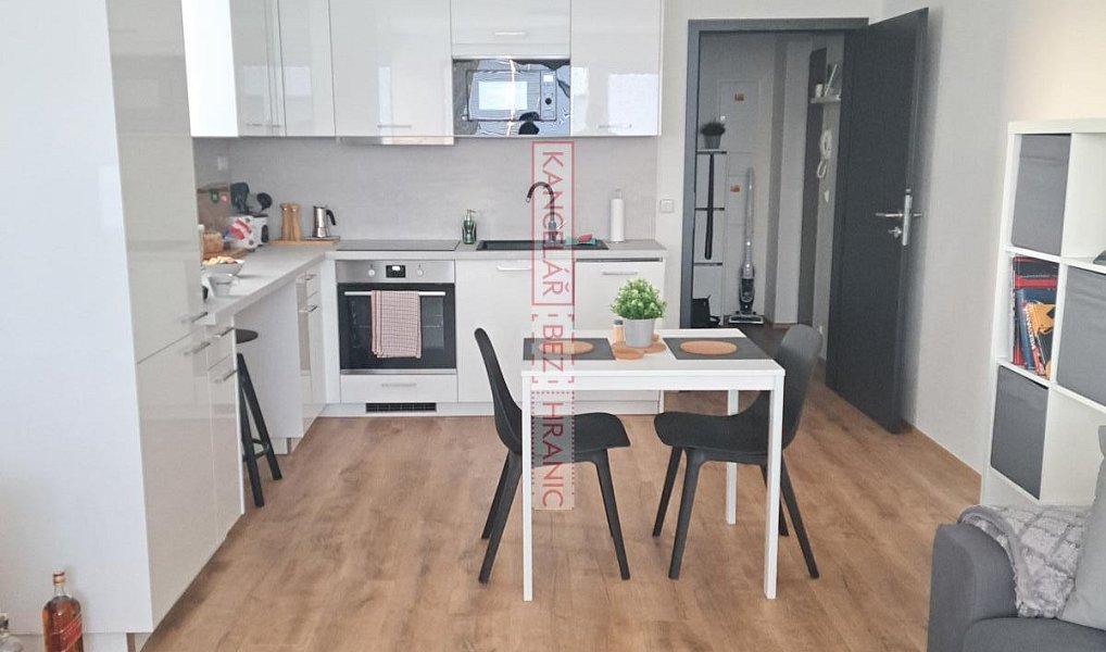 Pronájem bytu 1+kk 42 m², Vyškov – náhled fotky 4