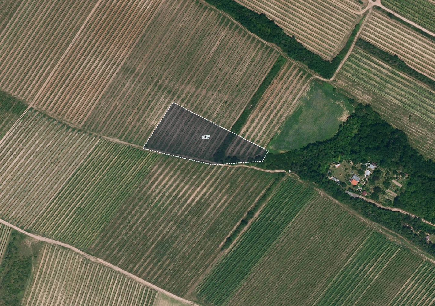 Prodej pole 7 256 m² — photo 3