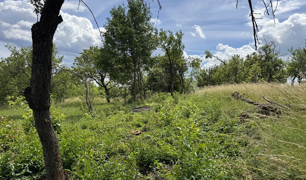 Prodej zahrady 731 m², Brno – náhled fotky 2