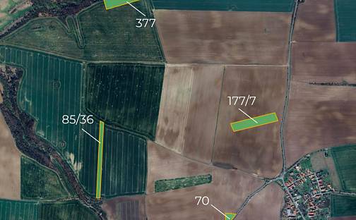 Prodej pole 37 639 m², Černíky, okres Kolín