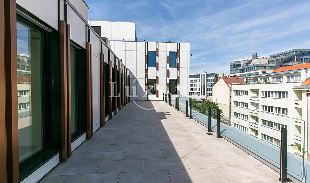 Pronájem kanceláře 423 m², Praha – náhled fotky 3