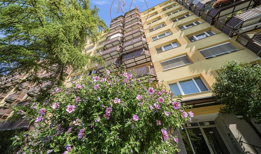 Prodej bytu 2+1 57 m², Brno – náhled fotky 3