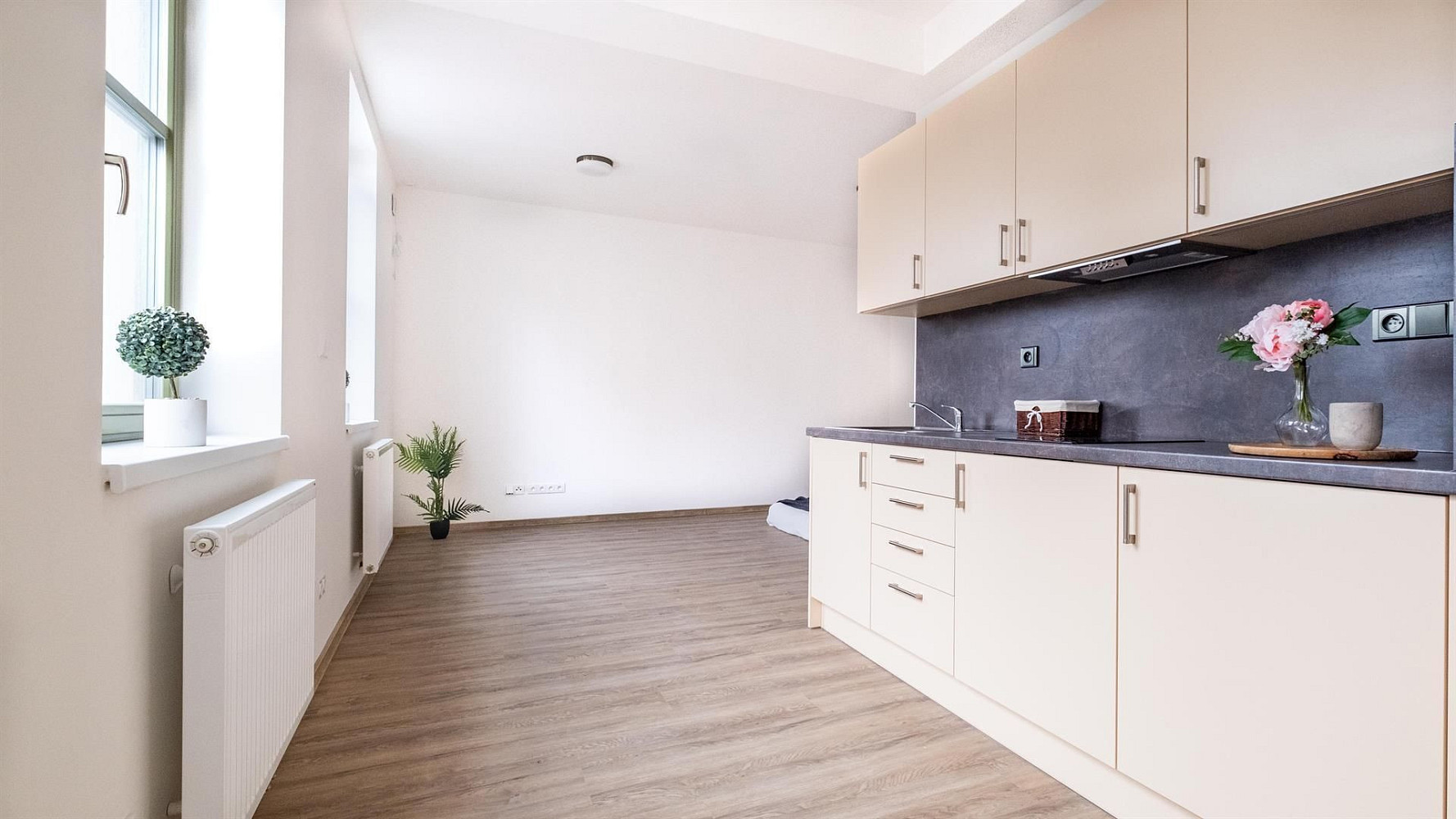 Pronájem bytu 1+kk 29 m²
