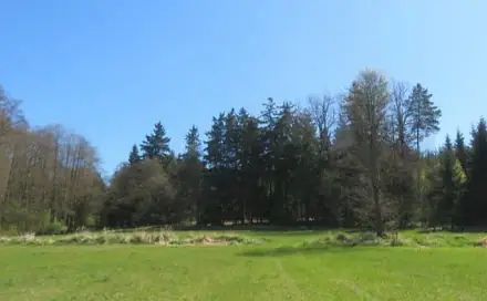 Dražba pole 13 684 m², Bavorov