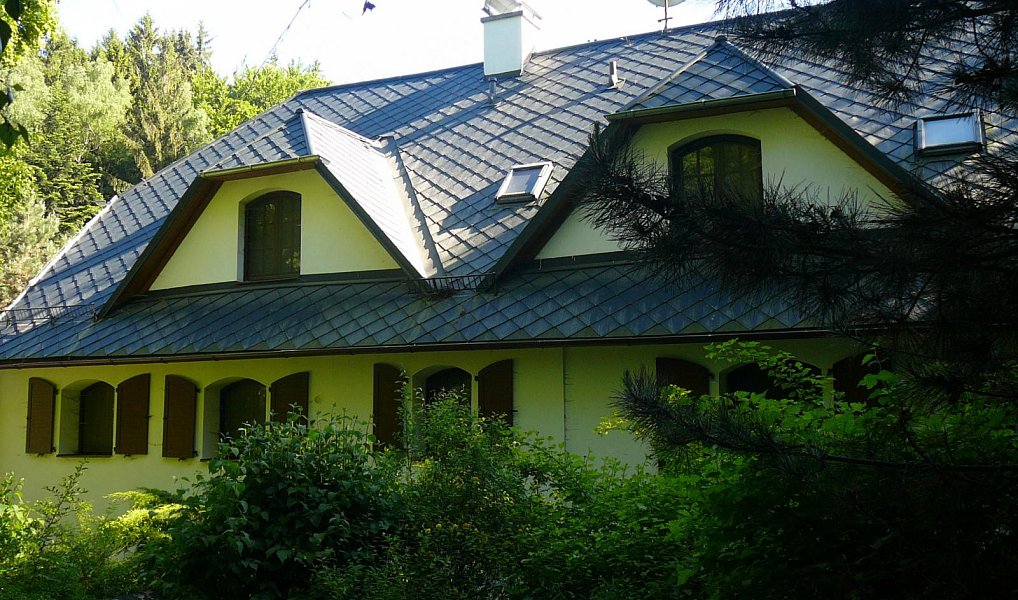 Prodej domu 1 000 m² s pozemkem 133 323 m², Štoky – náhled fotky 4