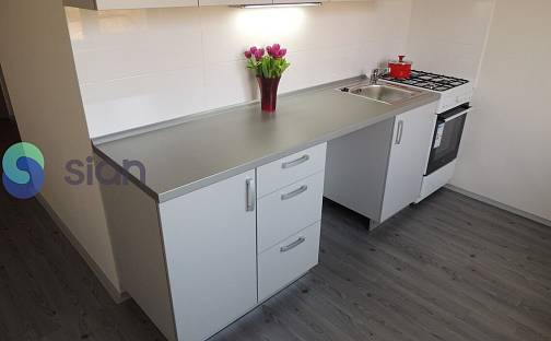 Pronájem bytu 2+1 55 m², Holasova, Ostrava - Hrabůvka