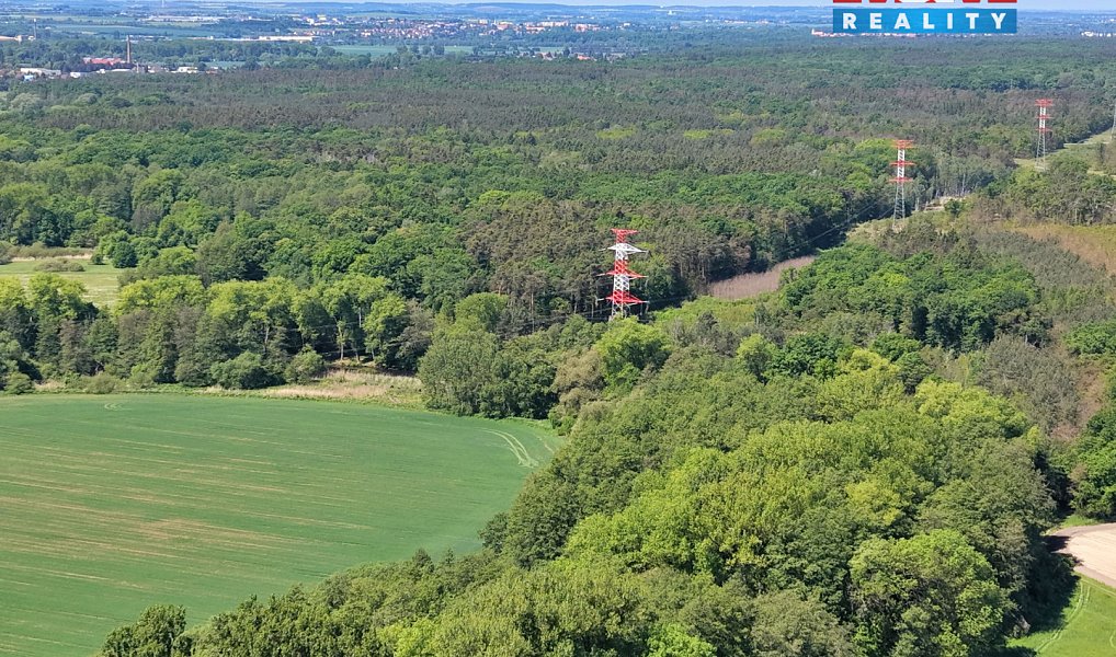Prodej lesa 5 227 m², Lysá nad Labem – náhled fotky 12
