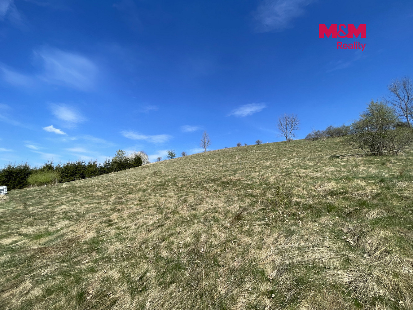 Fotka 26 z 29