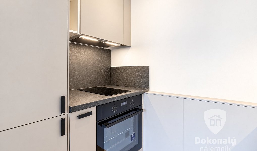 Pronájem bytu 1+kk 36 m², Praha – náhled fotky 8
