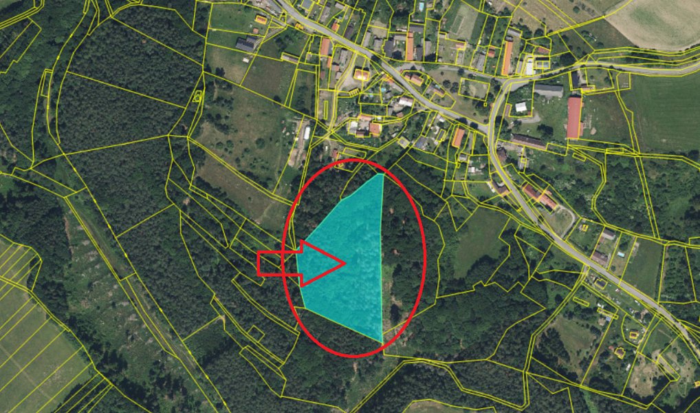 Prodej lesa 9 083 m², Nosálov – náhled fotky 2
