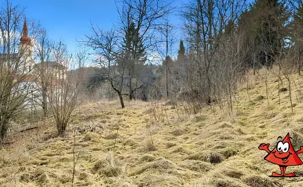 Prodej stavebního pozemku 1 372 m², Volfartice, okres Česká Lípa