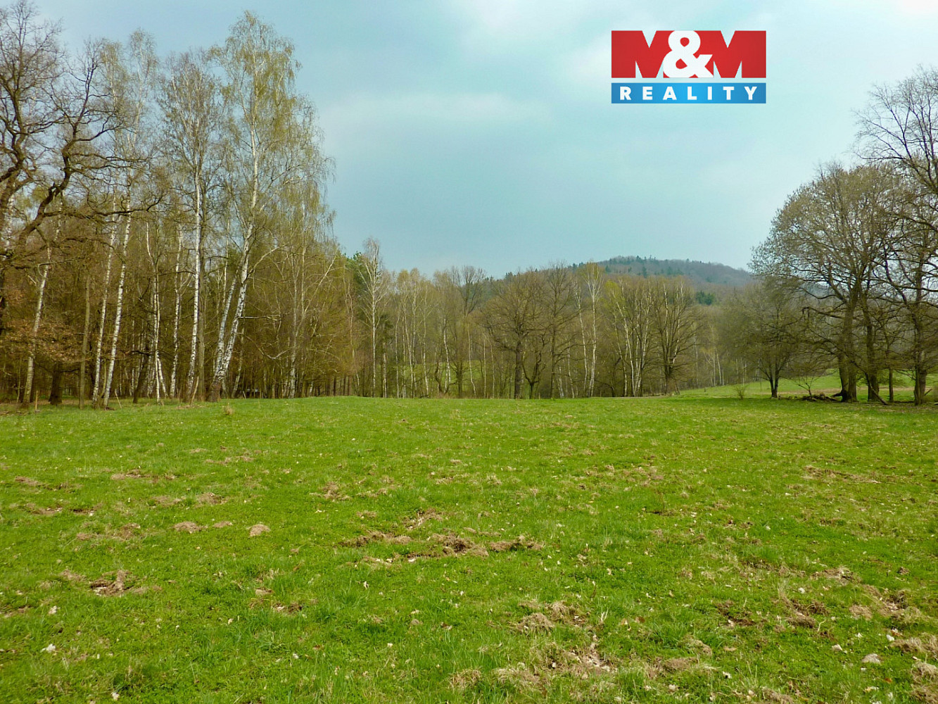 Prodej louky 55 278 m²