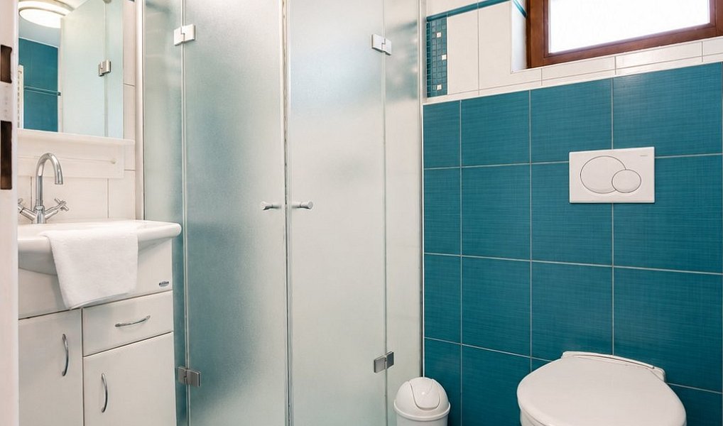 Prodej domu 271 m² s pozemkem 2 479 m², Krásná Lípa – náhled fotky 19