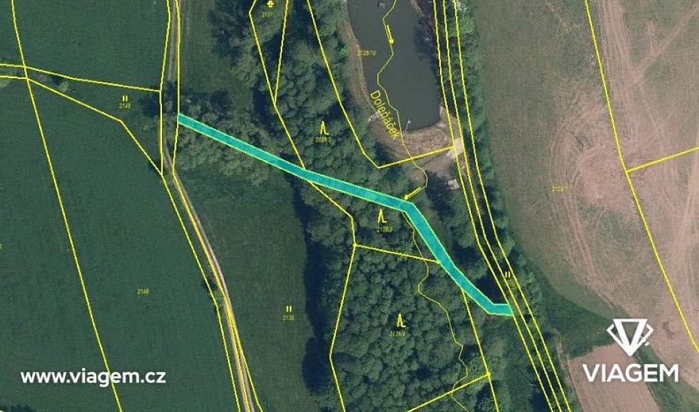 Prodej lesa 5 621 m², Košťálov – náhled fotky 3