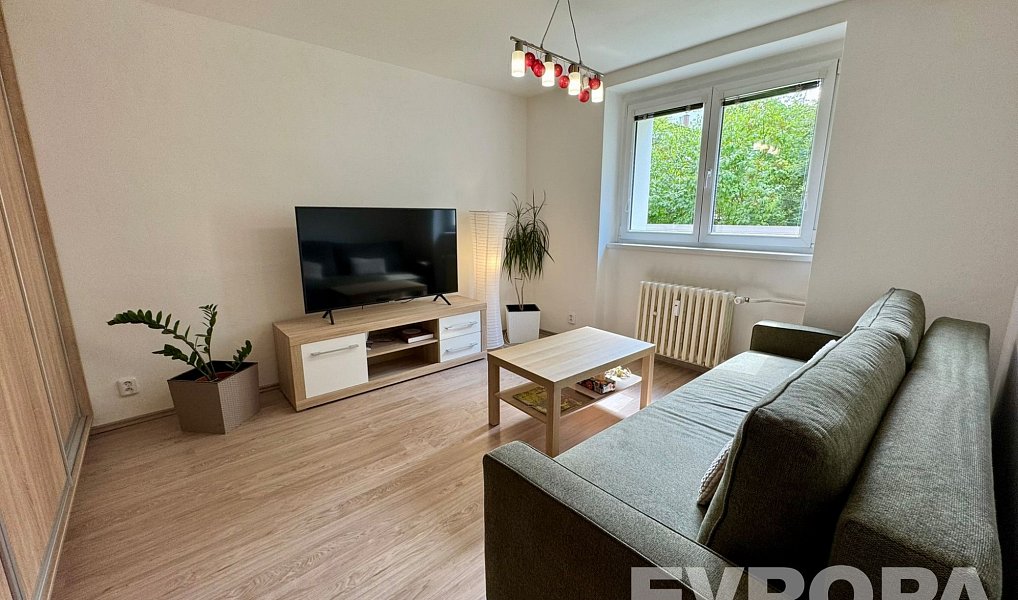 Pronájem bytu 1+1 30 m², Plzeň – náhled fotky 2