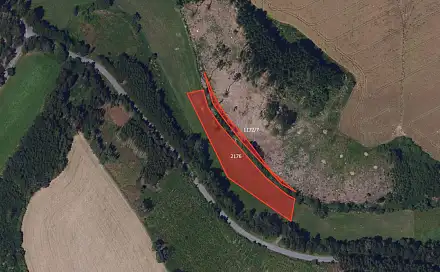 Prodej louky 4 221 m², Přibyslav - Dolní Jablonná, okres Havlíčkův Brod