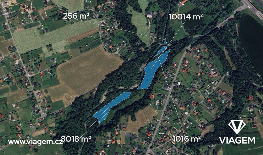 Prodej lesa 6 434 m², Bystřice – náhled fotky 2