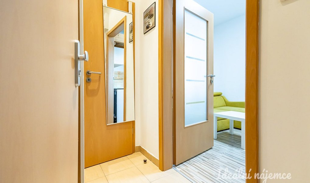 Pronájem bytu 1+kk 20 m², Praha – náhled fotky 10