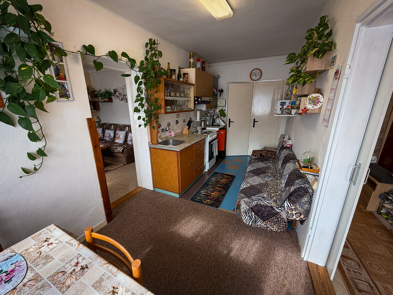 Prodej domu 80 m² s pozemkem 433 m² – fotografie 4