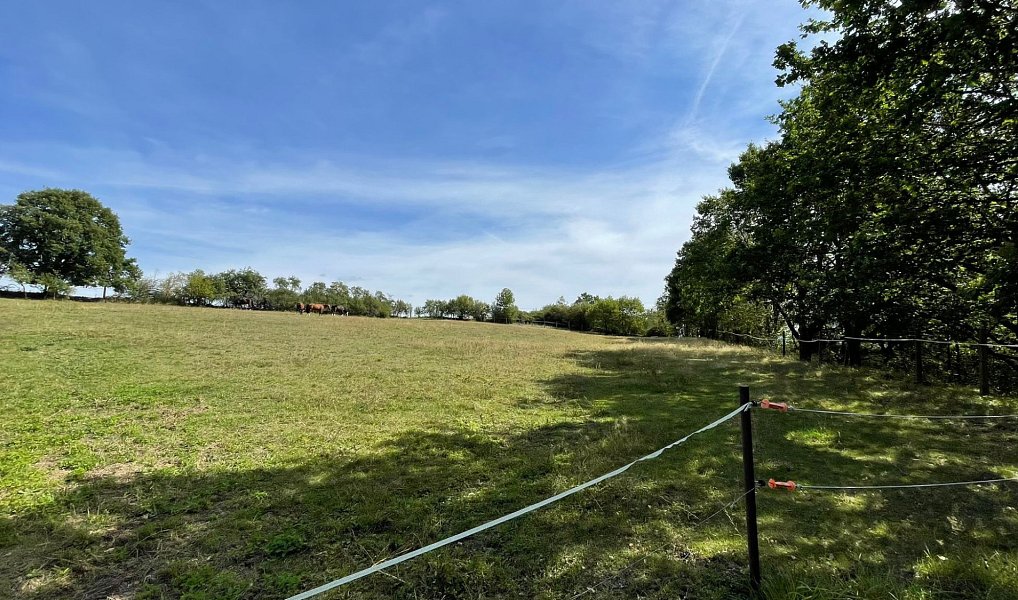 Prodej pozemku 6 229 m², Bojanovice – náhled fotky 15