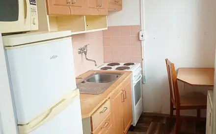 Pronájem bytu 1+1 27 m², Růžová, Most