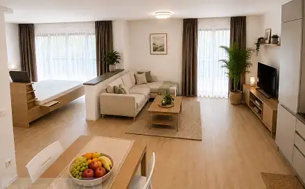 Pronájem bytu 2+kk 62 m², Auerswaldova, Brno - Zábrdovice