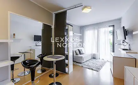Pronájem bytu 1+kk 33 m², Jeřabinová, Praha 5 - Smíchov