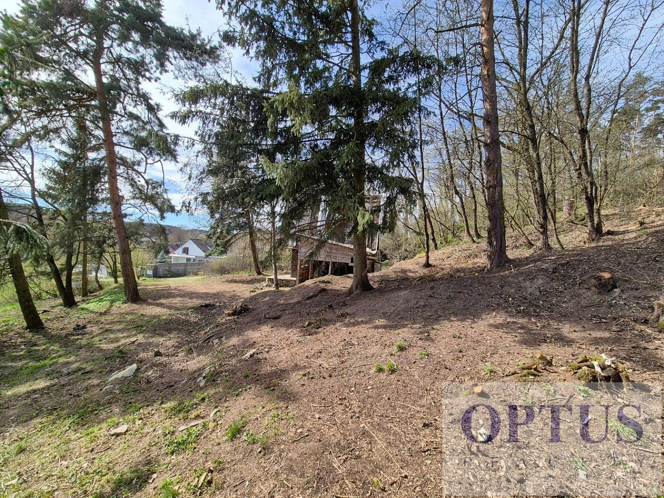 Fotka 10 z 10