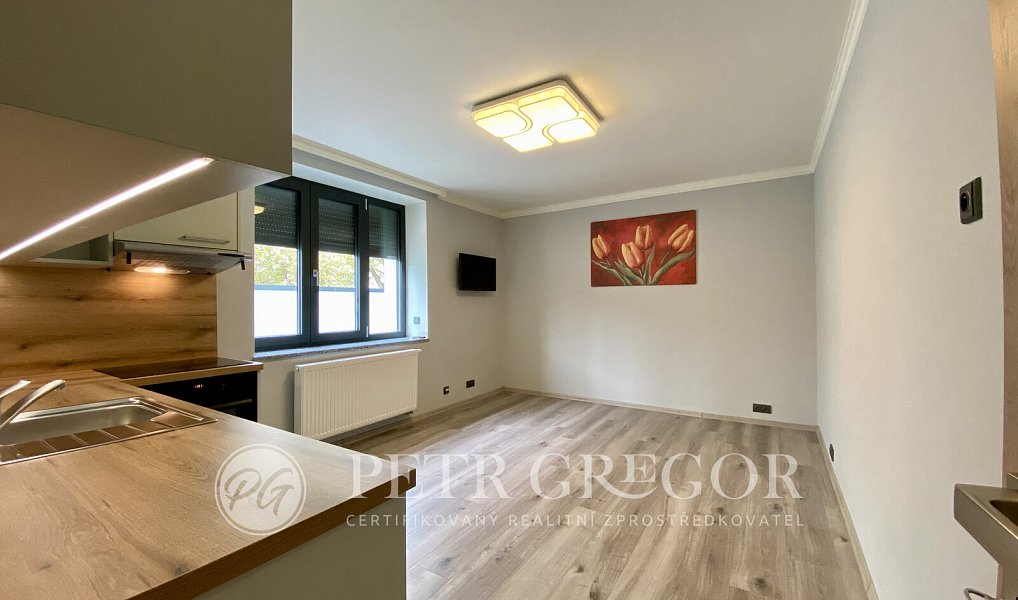 Pronájem bytu 1+kk 35 m², Poděbrady – náhled fotky 5