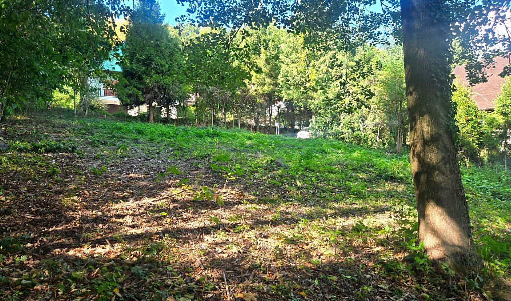 Prodej stavebního pozemku 505 m², Šternberk – náhled fotky 5