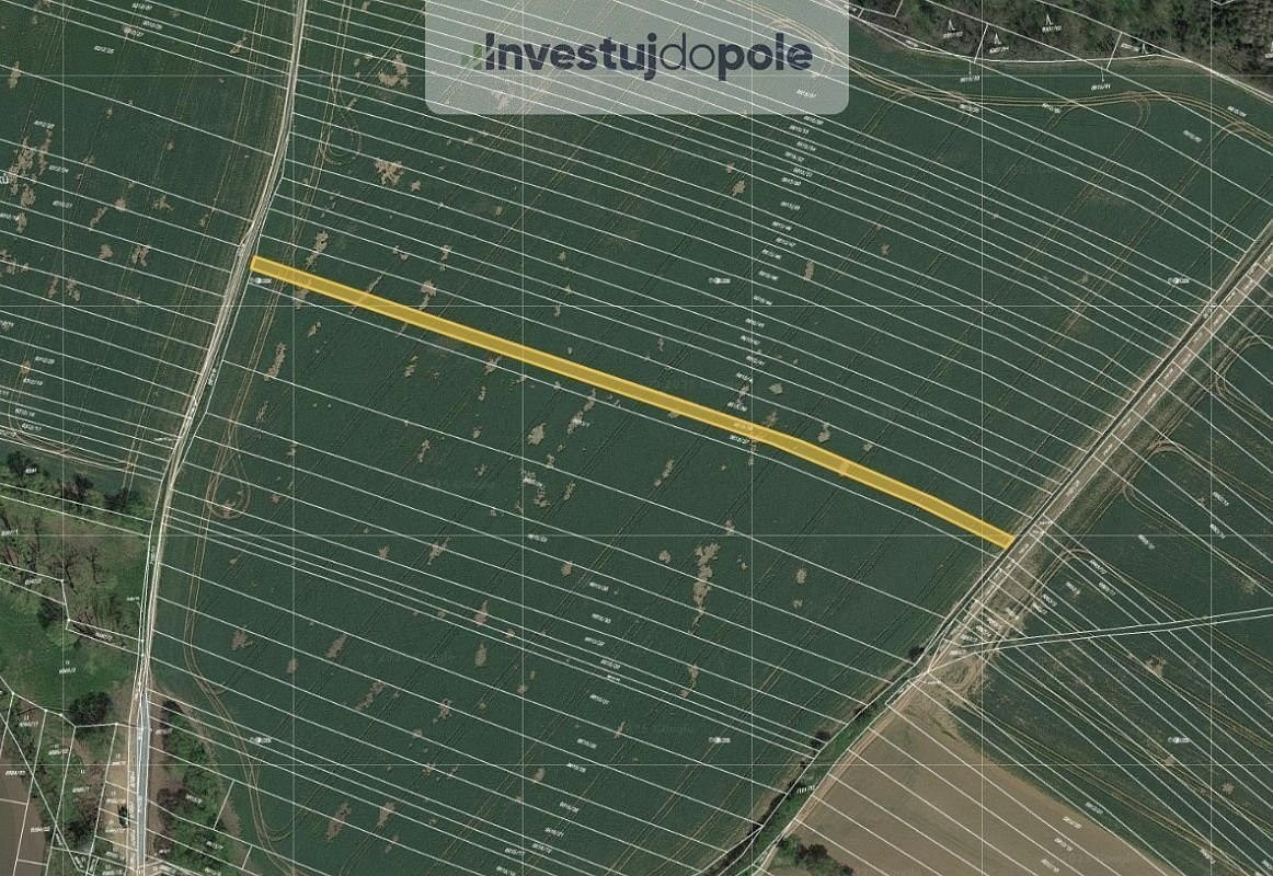 Prodej lesa 1 396 m² – fotografie 2