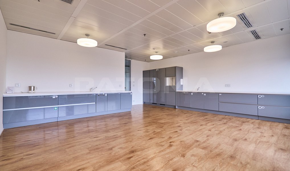 Pronájem kanceláře 544 m², Praha – náhled fotky 4