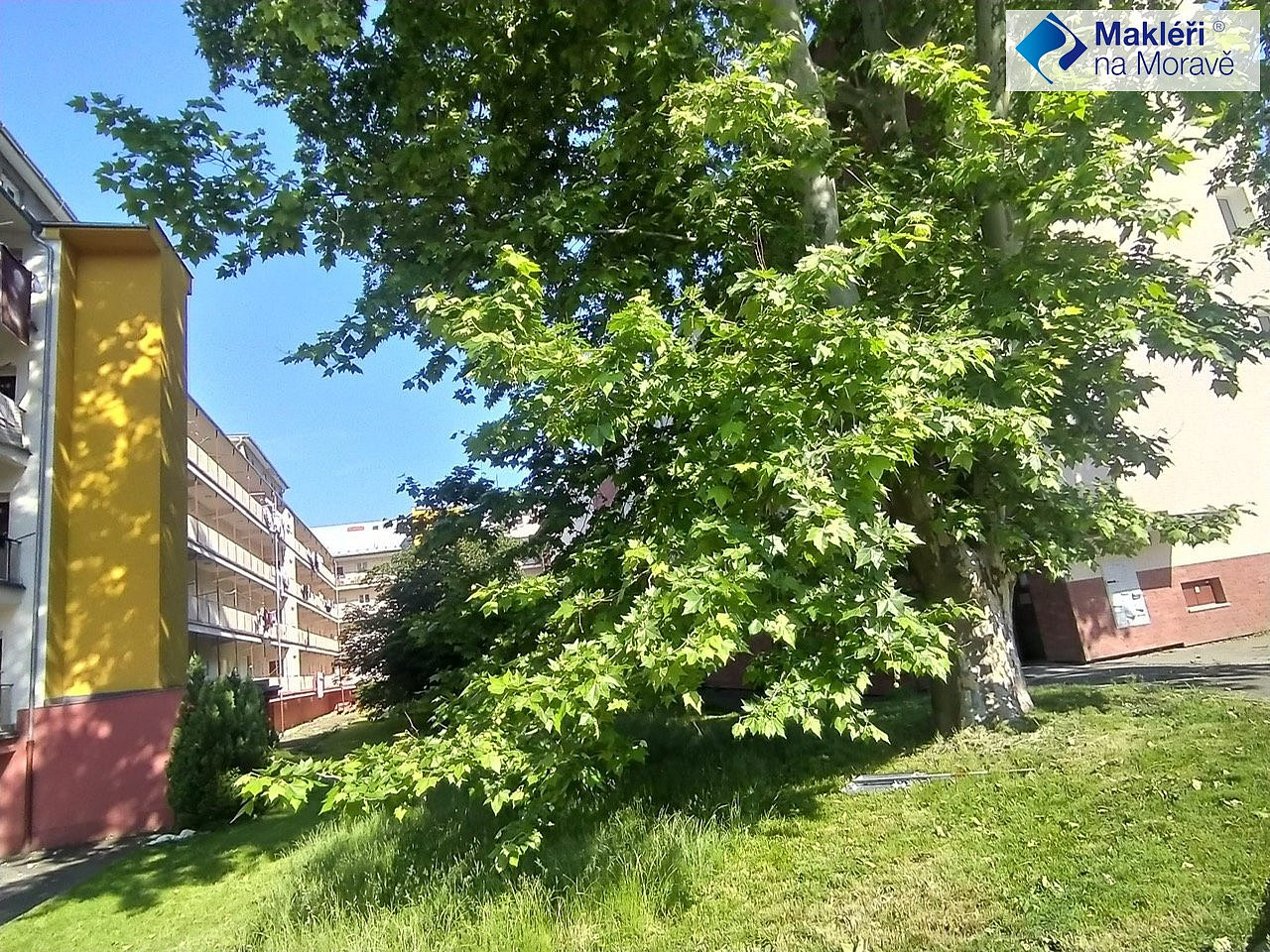 Prodej bytu 2+1 50 m² – pohled 4