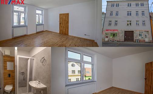 Pronájem bytu 1+1 44 m², Dobrovodská, České Budějovice - České Budějovice 5