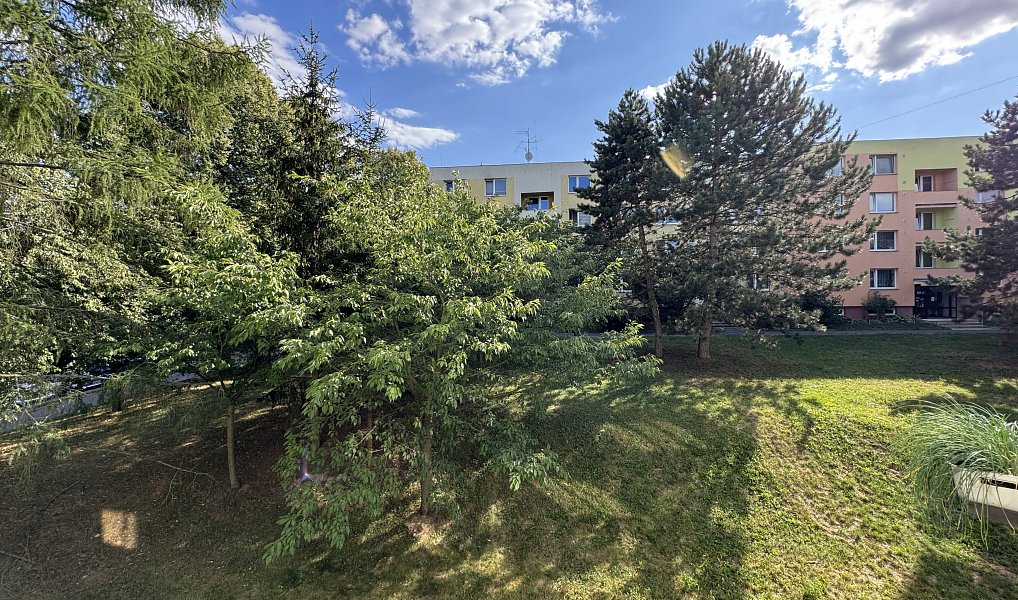 Prodej bytu 1+1 33 m², Brno – náhled fotky 4