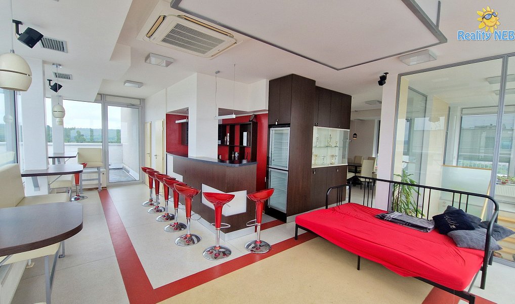 Prodej bytu 4+kk 446 m², Brno – náhled fotky 2